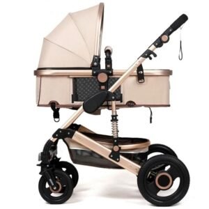 2 En 1 Poussette Combinée Bébé